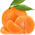 نارنگی یافا