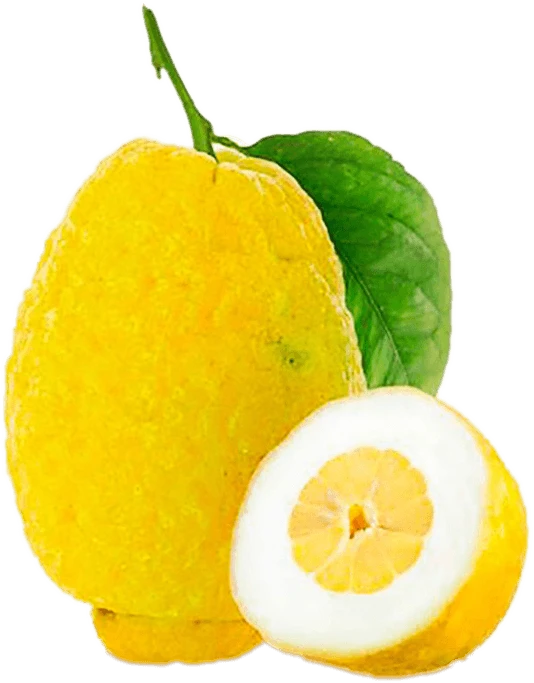 بالنگ