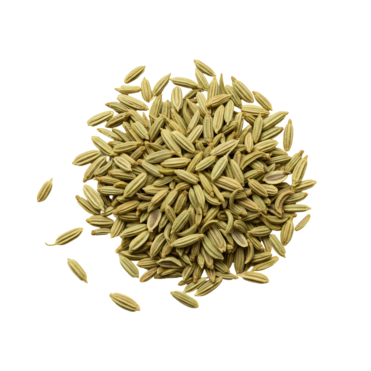 رازیانه