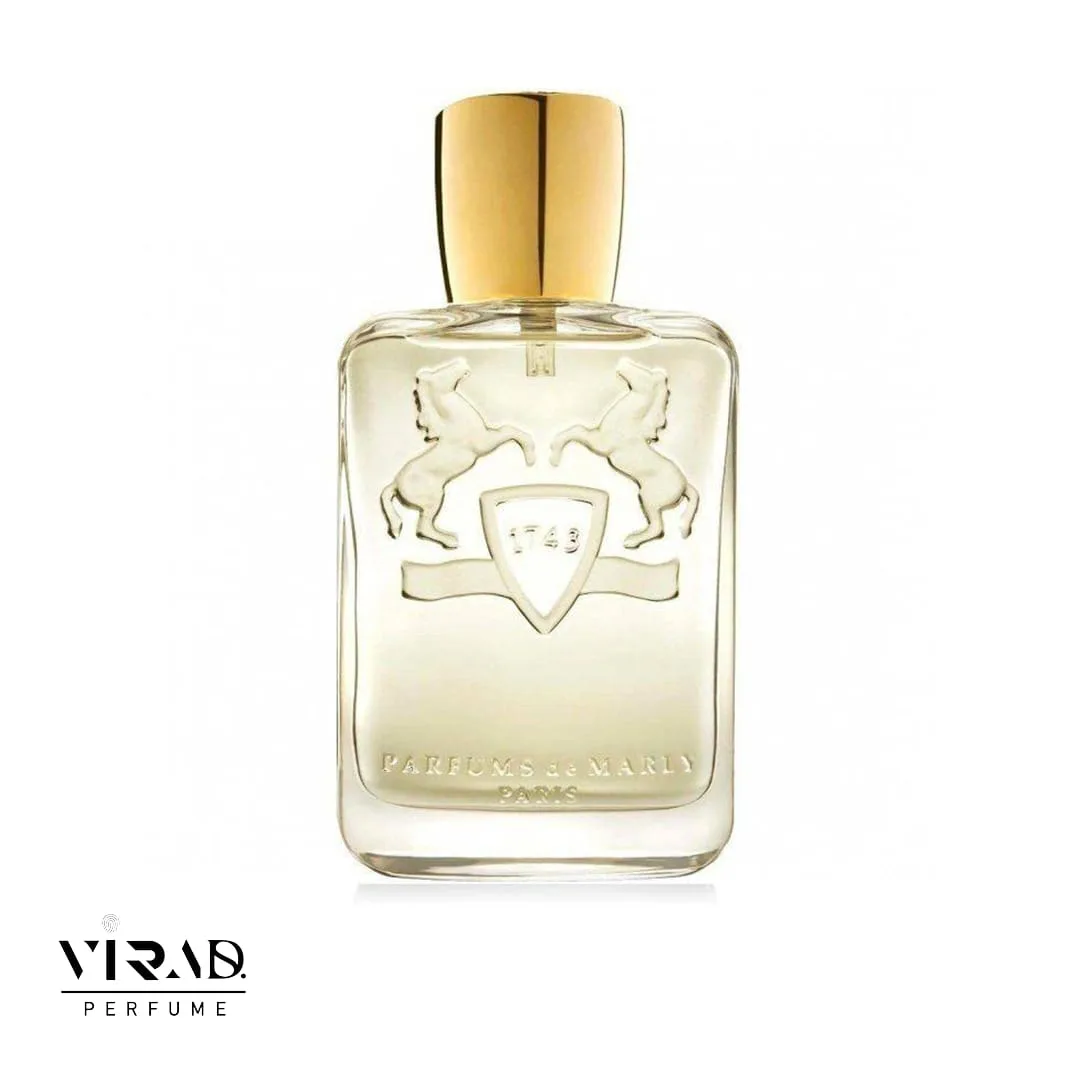 عطر ادکلن دیور میدنایت پویزن | Dior Midnight Poison