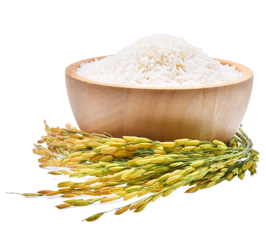 برنج