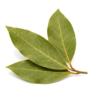 آویشن سفید