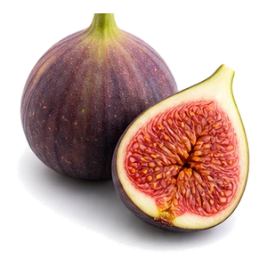 انجیر