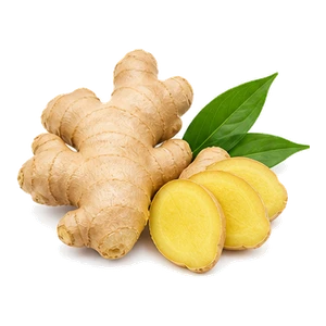 گل زنجبیل