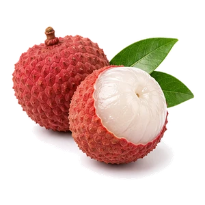 لیچی