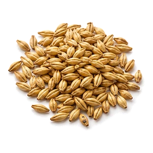 غلات هندی