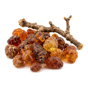 صمغ درختچه مر