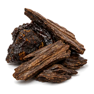 عود