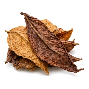 ویرجینیای طلایی